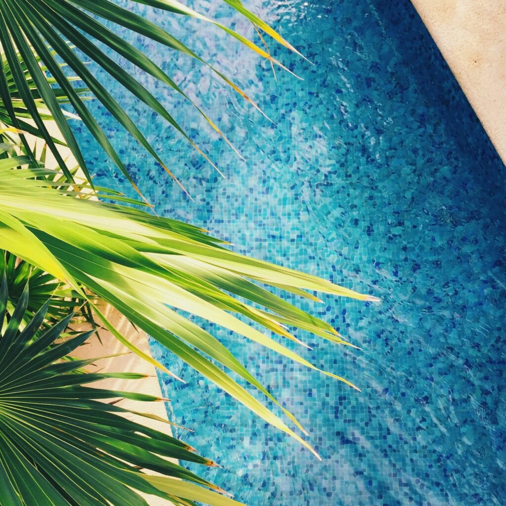 Vibrant palm leaves over a sparkling blue pool evoke tropical relaxation in this Mexico resort scene.